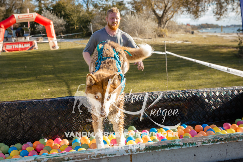 1450_ZZ95135-2 | kk-dogfotos