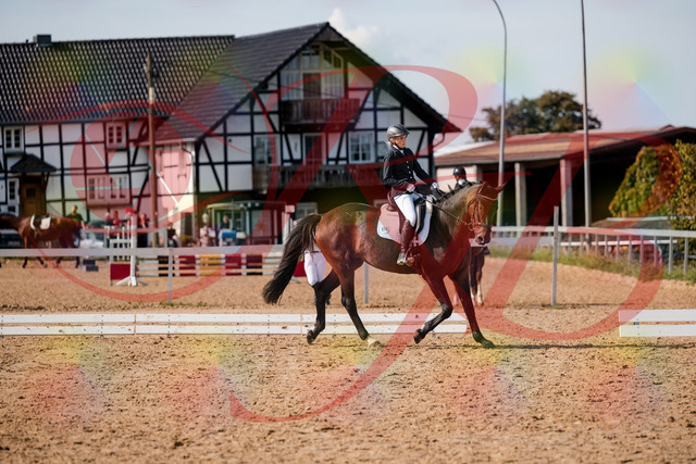 2026_10_03_Siefer-Hof_133526_Z63_95163740 | Professionelle Reitsport-, Turnier- und Eventfotografie von Robert Broda. Galerien mit ausgewählten und bearbeiteten Bildern direkt online ansehen und bestellen.