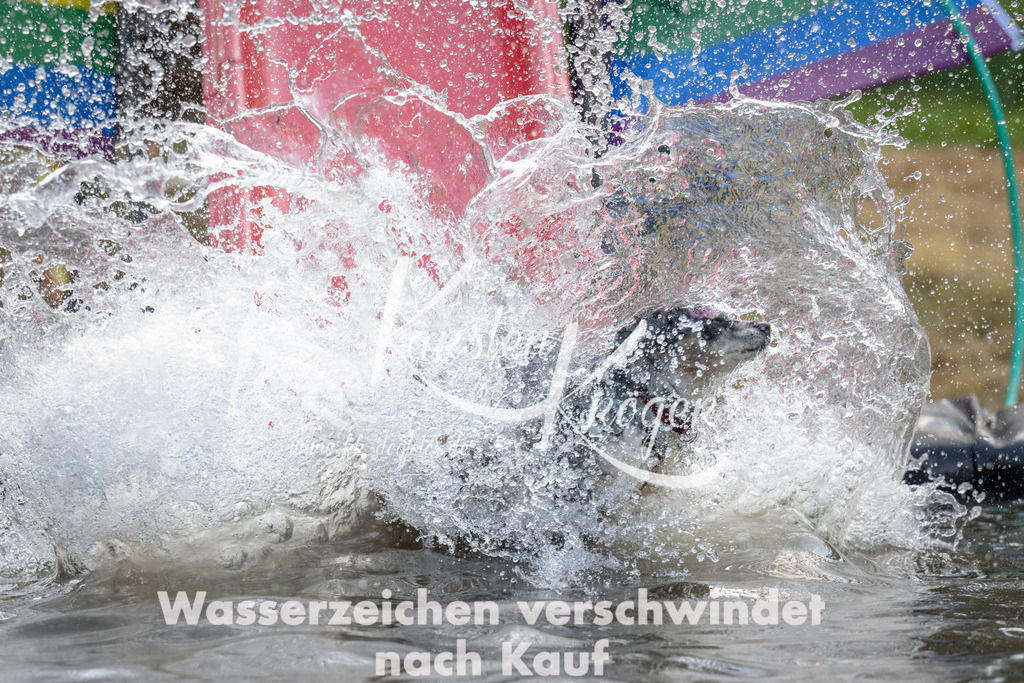 1432_ZZ90653 | kk-dogfotos
