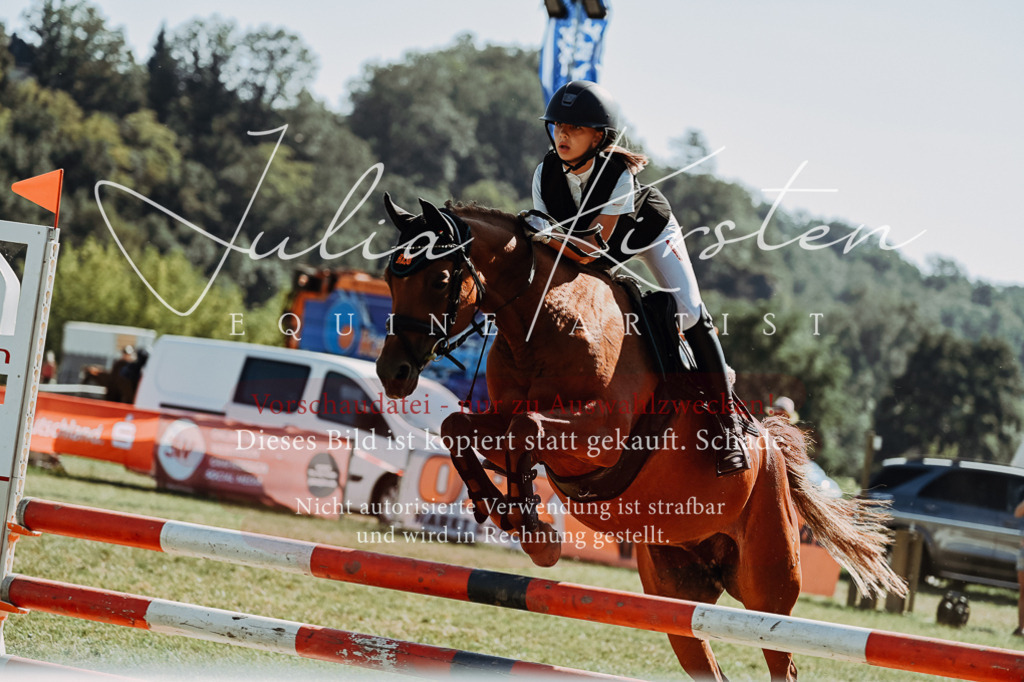 DSC_6856 | Pferde- und Turnierfotografie in Westsachsen. Pferdeportraits, Auftragszeichnungen und intuitive Kunst.