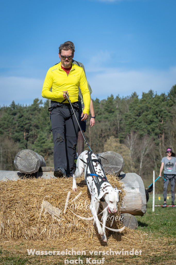 0936_ZZ94506 | kk-dogfotos