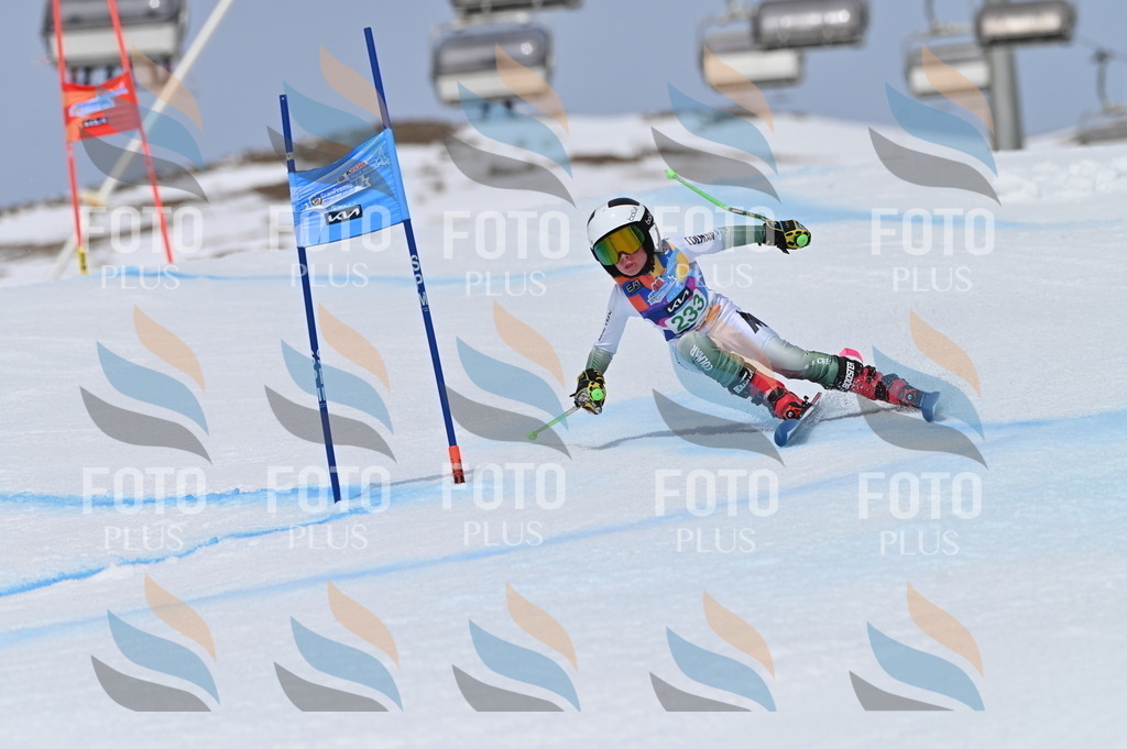 BGV_4620 | holidayphoto