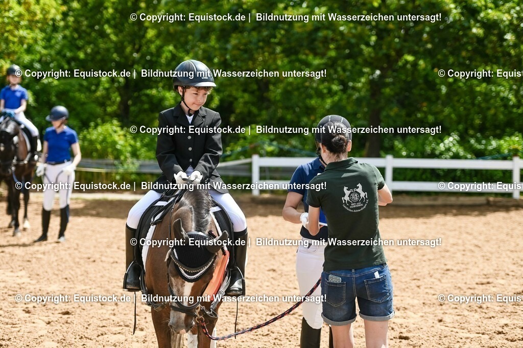 20230716_11_Führzügel-WB_0109 | equistock