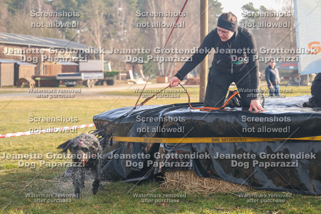 Dog Paparazzi - SD North 0326 900930-164 | Dog Paparazzi Jeanette Grottendiek Fotografie & Videografie - Realisiert mit Pictrs.com