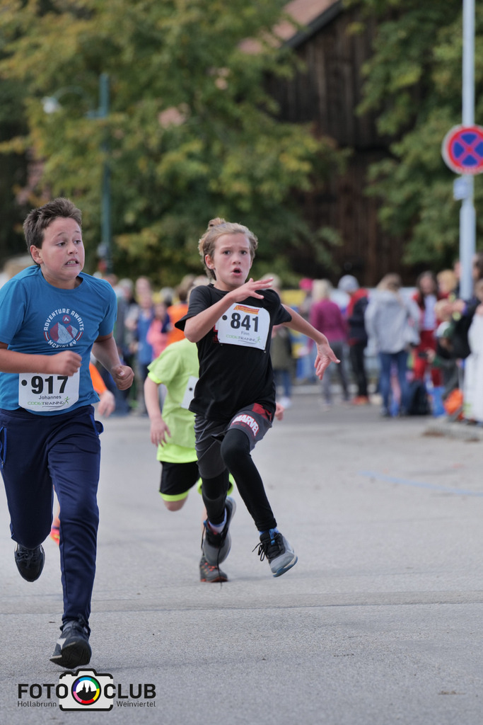 P1039464 | Foto Buchgraber