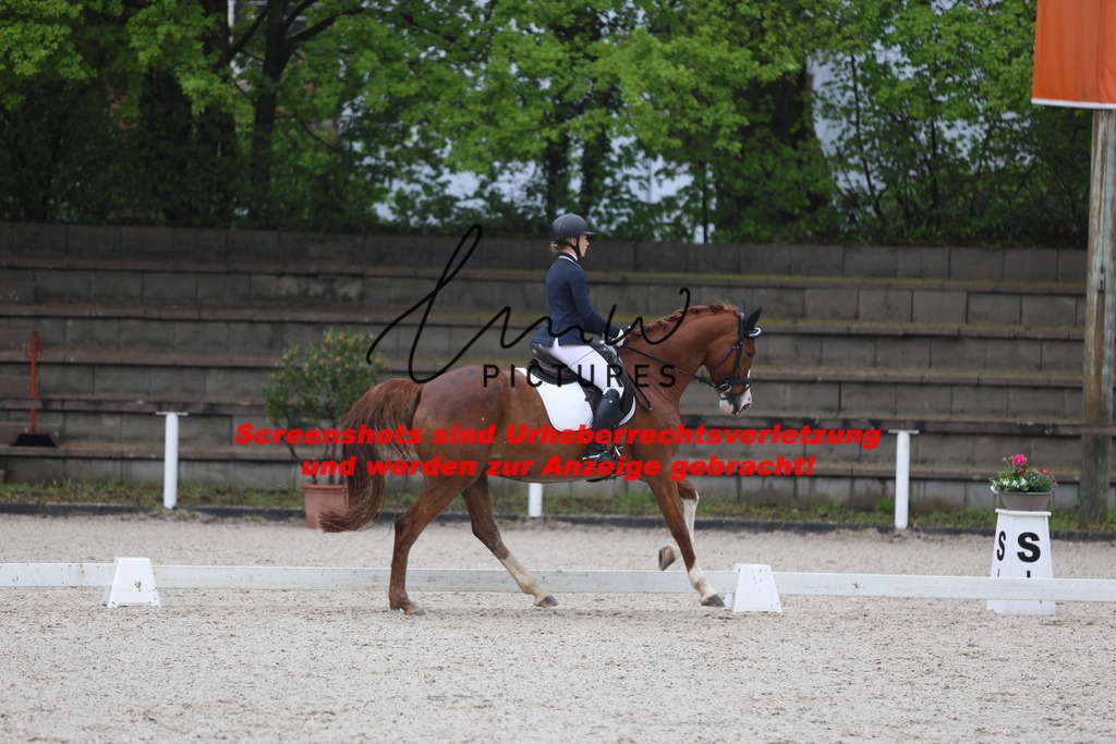 A40A7834 | lmwpictures - Realisiert mit Pictrs.com