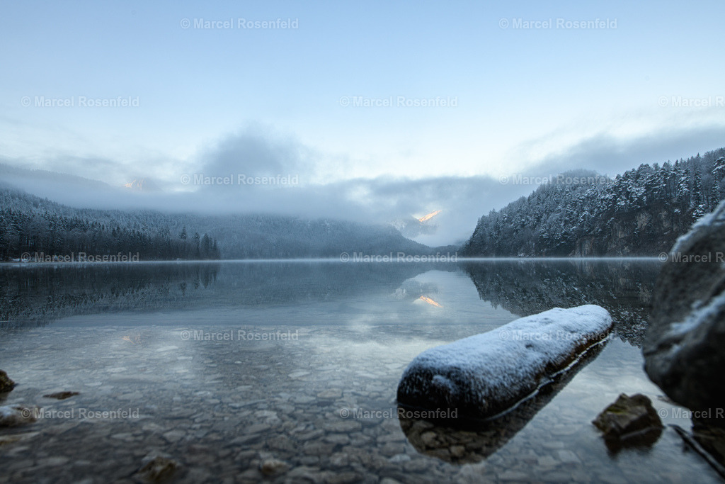 _DSC4507 (2) | foto-rosenfeld