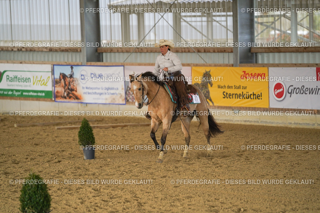 DSC03107 | Pferdegrafie