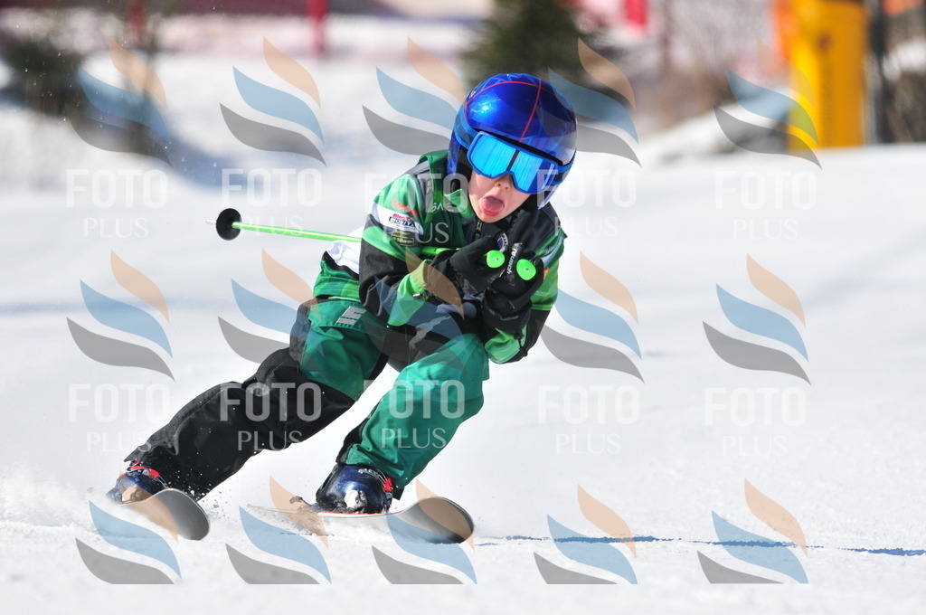 C3112 | holidayphoto