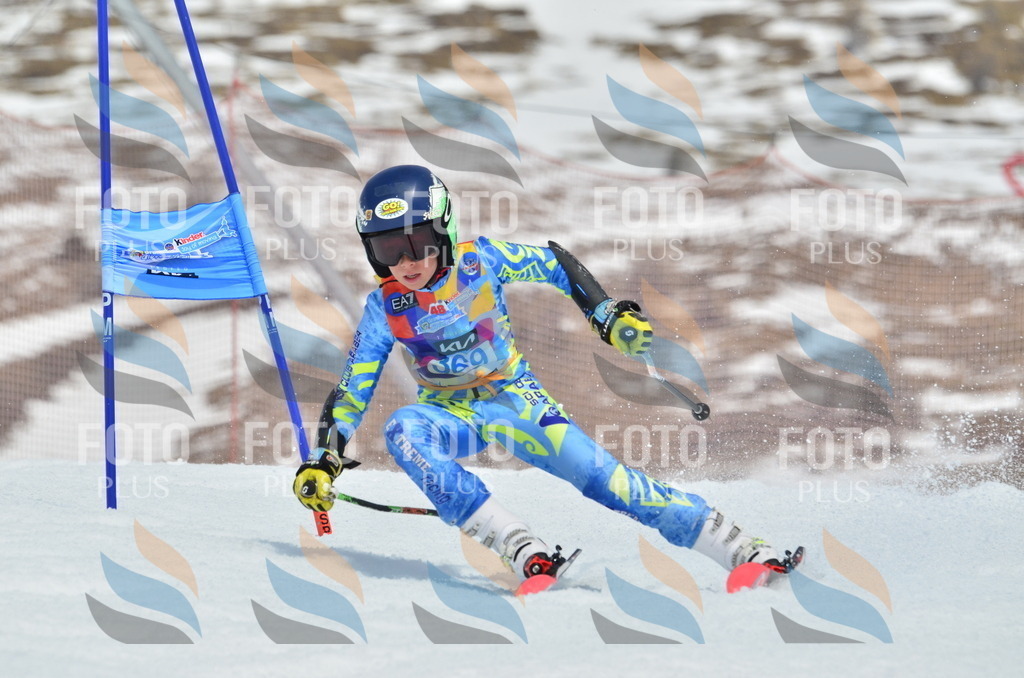 _ELE2997 | holidayphoto