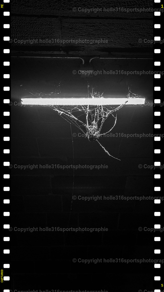 PSX_20250705_005949 | Sportfotografie , Motorsport, Motoross, Reitsport, Mointainbike, Enduro,
Landschaft , Outdoor, Eventfotografie, Landschaft, Bilder online bestellen - Realisiert mit Pictrs.com