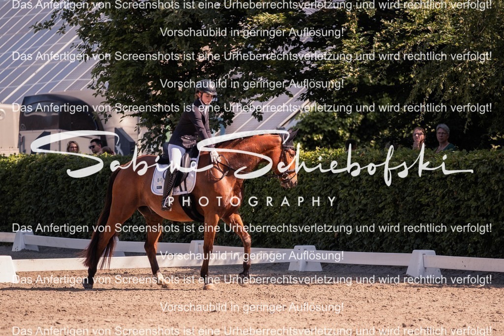 2025_05_31_DSCF3060 | People- und Tierfotografie, Imageaufnahmen, Veranstaltungsfotografie und Wandbilder aus der Natur ★ Made in Germany ✔️ Druck + Downloads ✔️ Naturfotografie in Top Qualität ★ schneller Versand, weltweite Lieferung! - Realisiert mit Pictrs.com