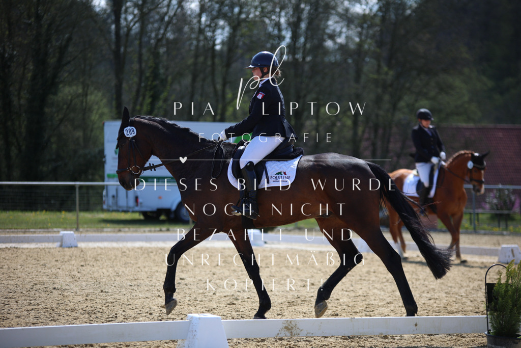 IMGT2173 | pl-fotografie