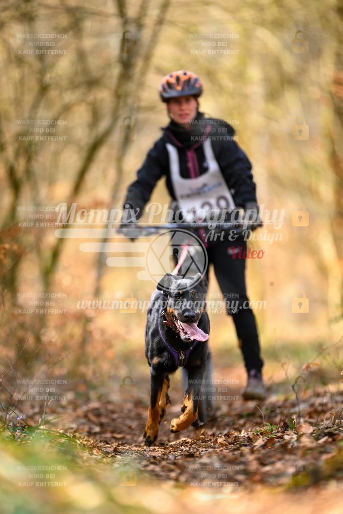 MompixPhotography_ReiatRennen2024_SO_DS1-39 | PayLife