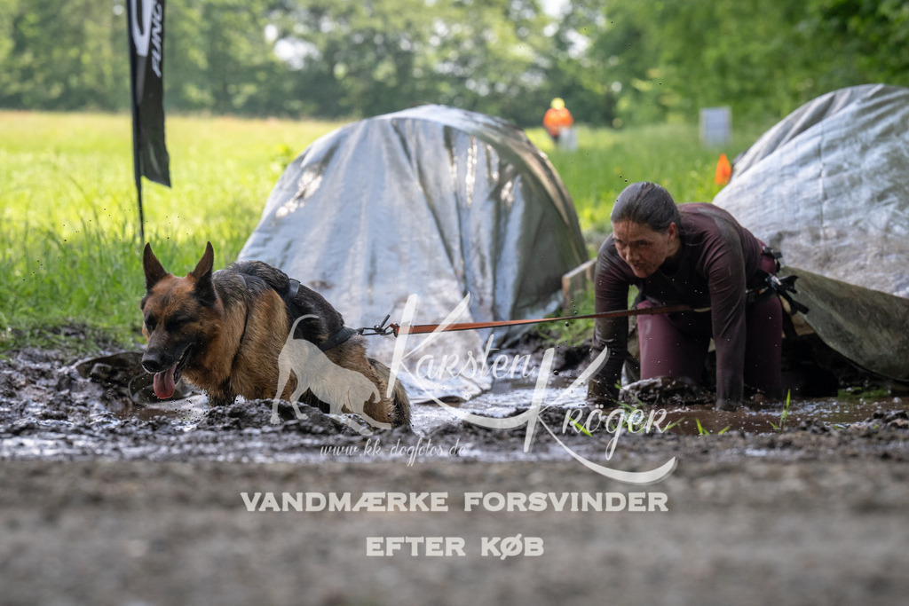 1207_ZZ91434 | kk-dogfotos