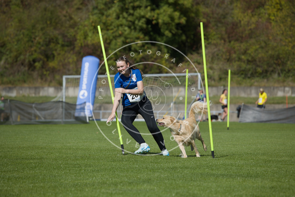 0L8A5813 | Hundefotografie, Tierfotograf, Pfotenfotografie, Fotoshooting Hund, Hunde Portrait, Hundesport, Hundeportraits, Heideshooting, Hunde, Sportfotograf, Hundefotograf, Turnierhundsport, THS,  - Realisiert mit Pictrs.com