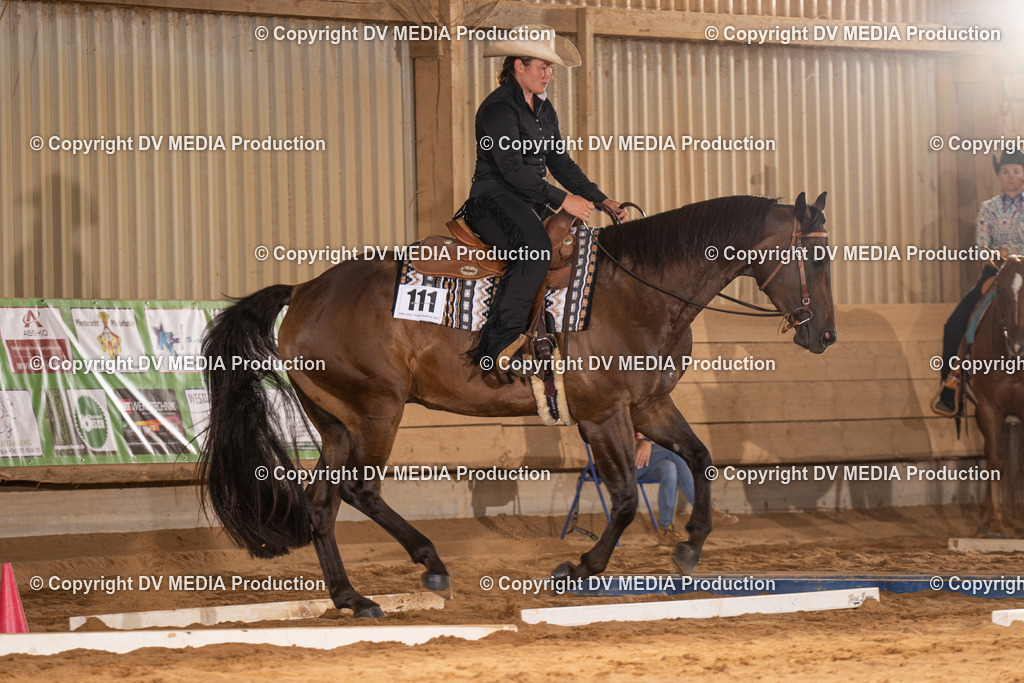 NID00593 | dv-media-shop - Realisiert mit Pictrs.com