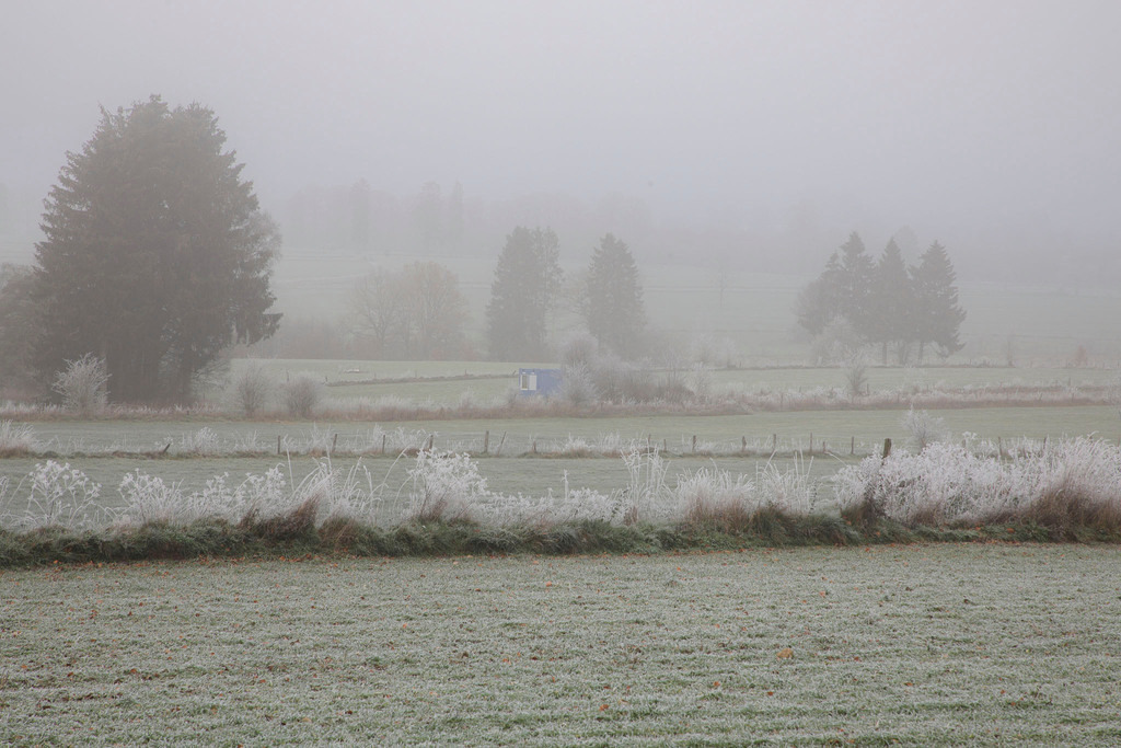 Raureif_Weisten_101222_23 | Bildergalerie von Sport-Ereignissen aber auch von weiteren spannenden Dingen - nicht nur vom Niederrhein. In Anlehnung an den bekannten Spruch von Hanns Dieter Hüsch heißt das Motto: "Niederrhein ist überall".  - Realisiert mit Pictrs.com