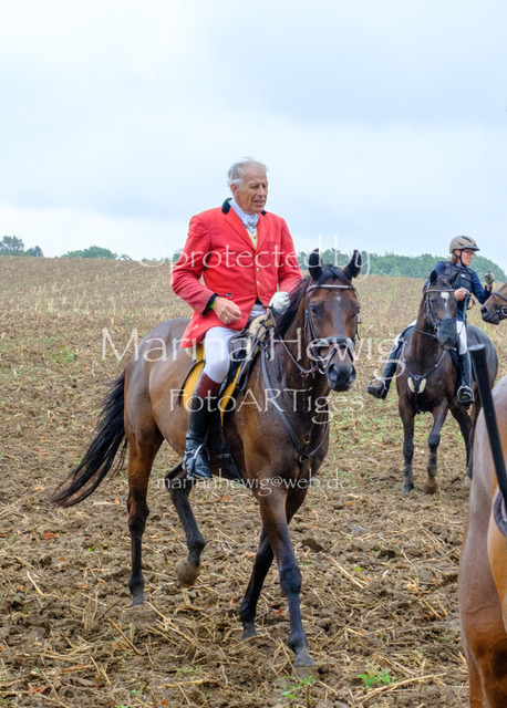 Jagd Kletkamp 26-9548_MarinaHewig | Fotografie, FotoArt, PferdesportArt, Pferdesportfotografie, Landschaftsfotografie, Reisefotografie, Reise, Pferde - Realisiert mit Pictrs.com