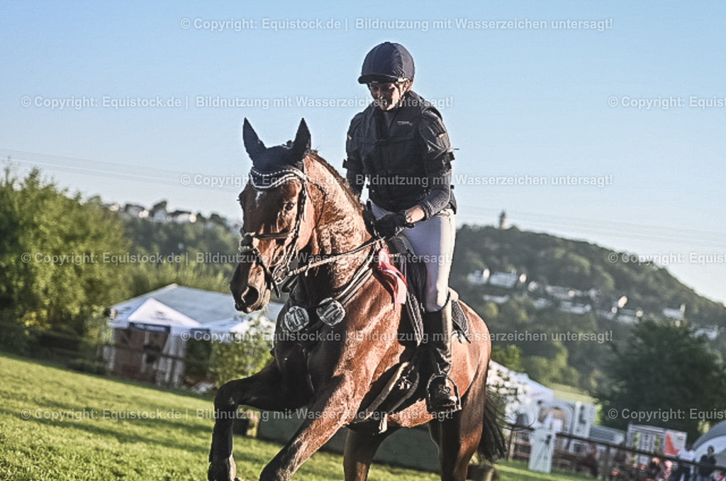 20230909_20_Leonberger-Derby_0187 | equistock