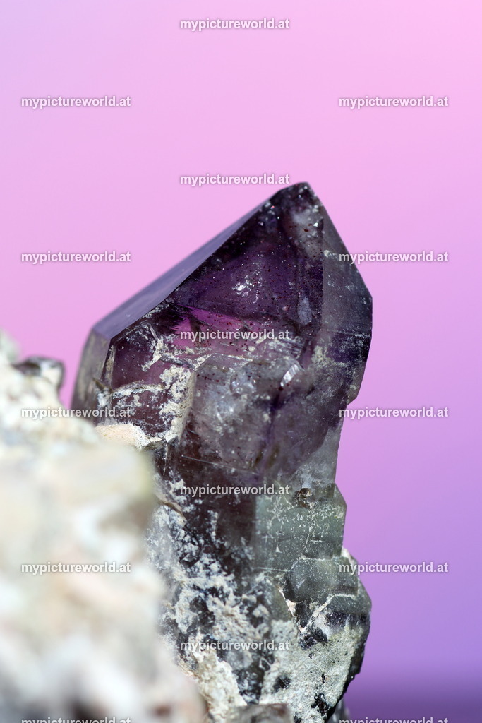 Amethyst-003 | Das Bilderarchiv über Tiere, Planzen und Landschaften. In der Bilddatenbank finden Sie ein große Auswahl an hochwertigen Bilder für Ihre Werbung - Realisiert mit Pictrs.com
