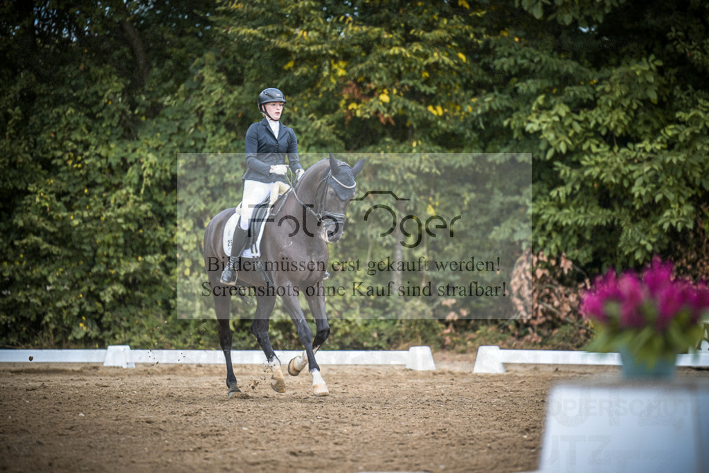 DOS_4860 | Entdecke hochwertige Reitturnierfotos von Foto Oger. Professionell, emotional und authentisch – jetzt Lieblingsmomente im Shop bestellen.Deutschlandweite Turnierfotografie. - Realisiert mit Pictrs.com
