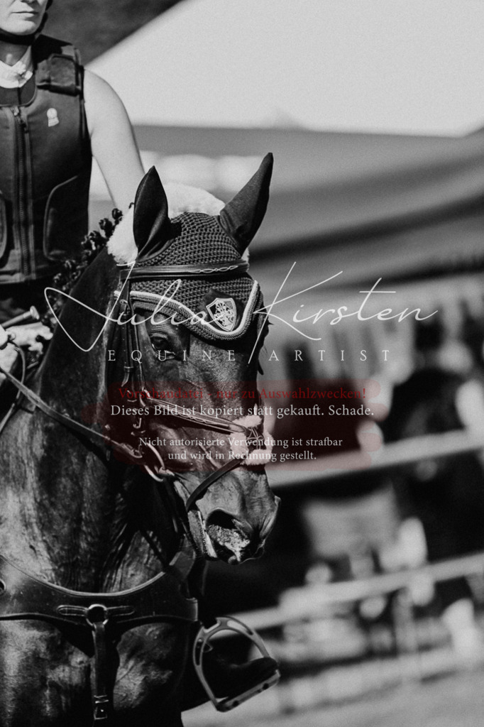 DSC_0001 | Pferde- und Turnierfotografie in Westsachsen. Pferdeportraits, Auftragszeichnungen und intuitive Kunst.