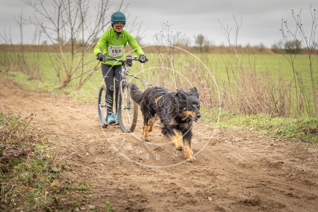 DV3A1565 | Hundefotografie, Tierfotograf, Pfotenfotografie, Fotoshooting Hund, Hunde Portrait, Hundesport, Hundeportraits, Heideshooting, Hunde, Sportfotograf, Hundefotograf, Turnierhundsport, THS,  - Realisiert mit Pictrs.com