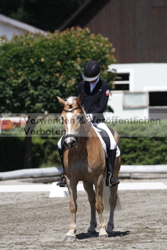 _MG_3981 | equestrian-live-com