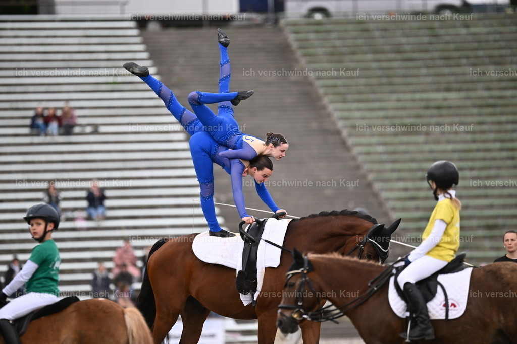 PI26_Show_Sara_Landvogt_226_1699.JPG | working equitationturnier fotograf videograf stoibphotography marixx film working equitation deutschland reitsport turnierfotografie eventfotografie equestrian events