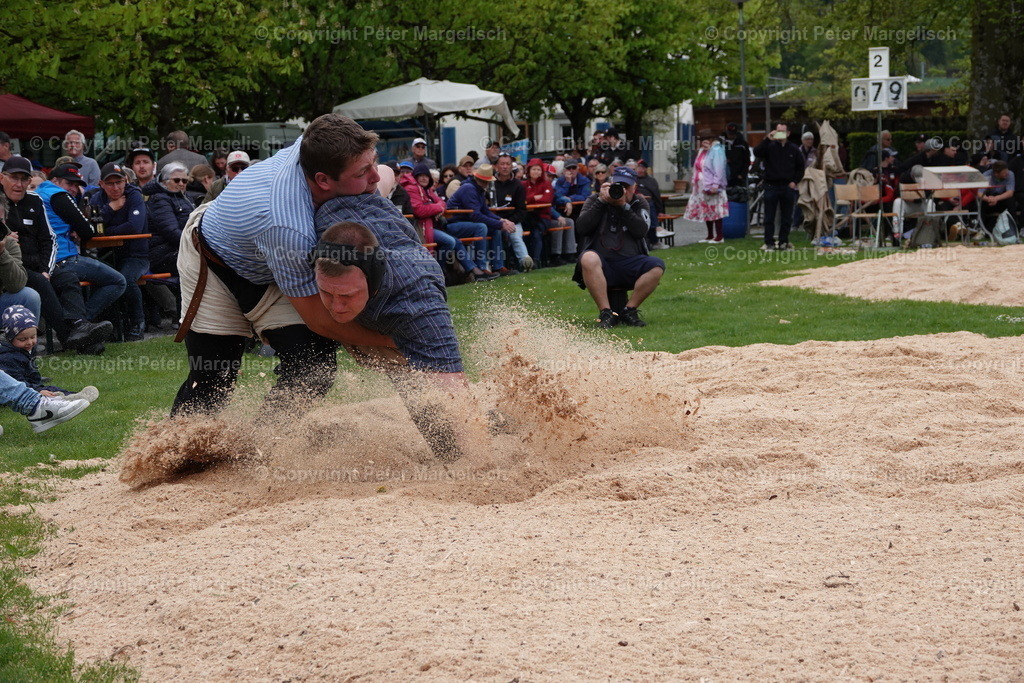 DSC00588 | Schwingen - Realisiert mit Pictrs.com