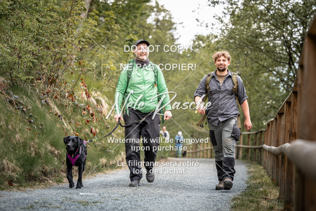 nelerasche_SaAbends_28 | nelerasche