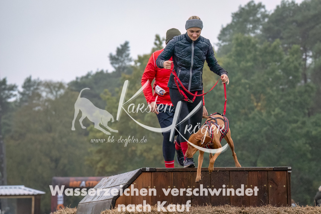 1240- | kk-dogfotos