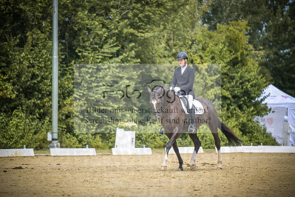 DOS_2648 | Entdecke hochwertige Reitturnierfotos von Foto Oger. Professionell, emotional und authentisch – jetzt Lieblingsmomente im Shop bestellen.Deutschlandweite Turnierfotografie. - Realisiert mit Pictrs.com
