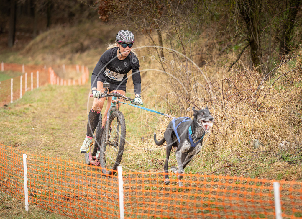 DV3A9934 | Hundefotografie, Tierfotograf, Pfotenfotografie, Fotoshooting Hund, Hunde Portrait, Hundesport, Hundeportraits, Heideshooting, Hunde, Sportfotograf, Hundefotograf, Turnierhundsport, THS,  - Realisiert mit Pictrs.com