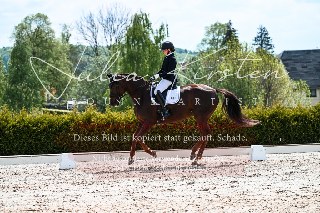 20230513_JK-Röhrsdorf-10-0846 | Pferde- und Turnierfotografie in Westsachsen. Pferdeportraits, Auftragszeichnungen und intuitive Kunst.