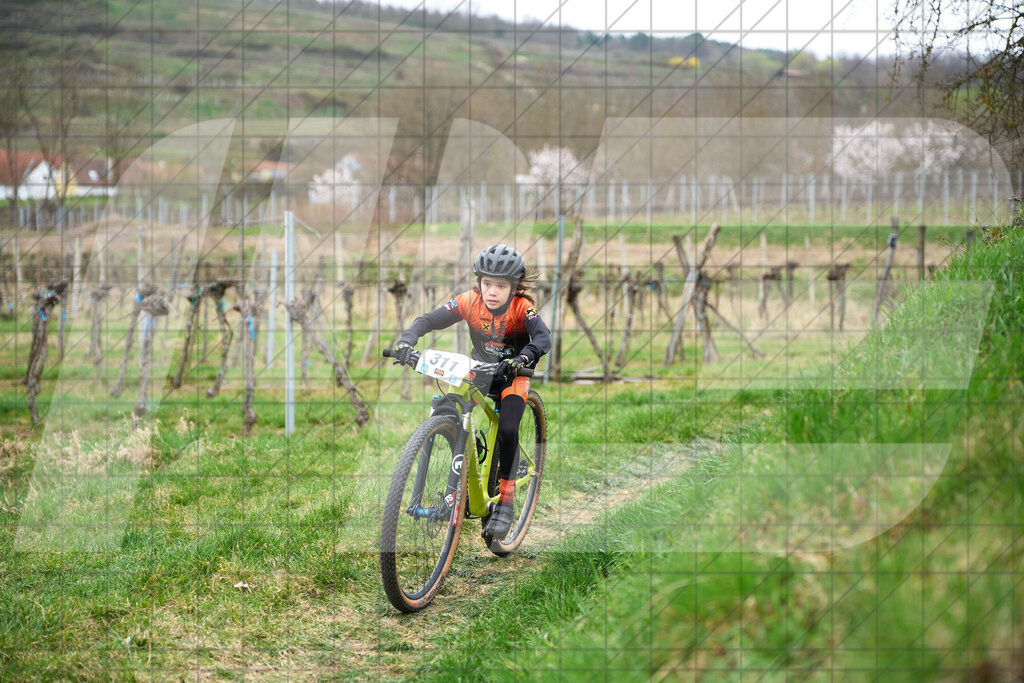 34. KTM Kamptal Trophy  | ZÖBING, Österreich – 2026-03-28: 34. KTM Kamptal TrophyFoto: © 2026 Martin Bihounek - MB Creative e.U.