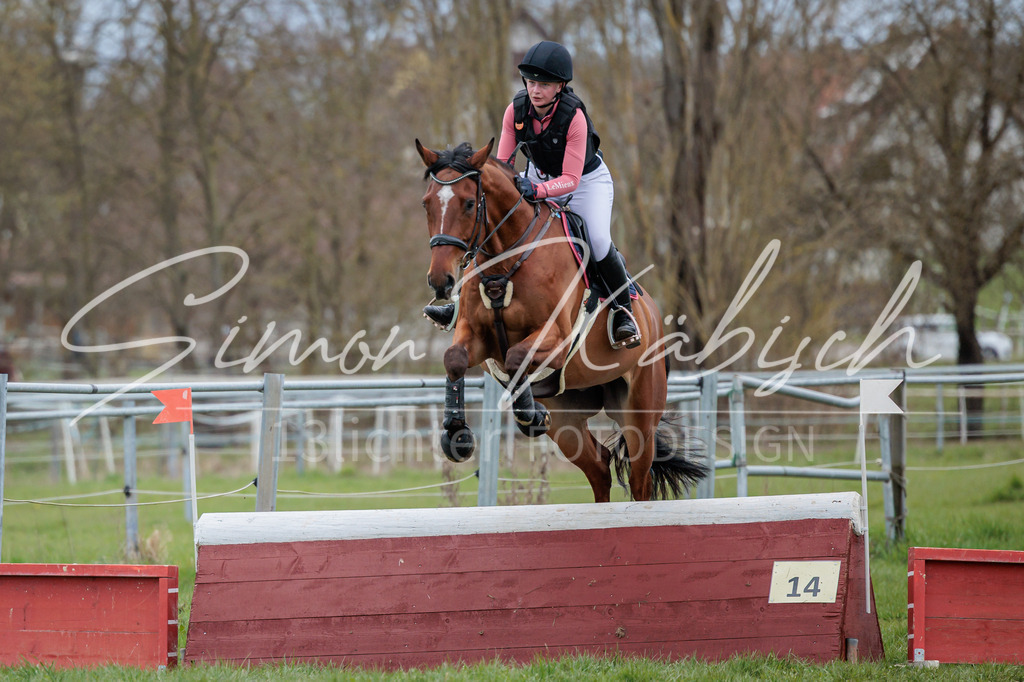20260329-_3LI5671 | Tierfotografie Pferde, Hunde, Katzen, Haustiere.
Turnierfotografie Reitturniere, Reiten, Springreiten, Dressur in Hanau, dem Main-Kinzig-Kreis und dem Rhein-Main- Gebiet um Frankfurt