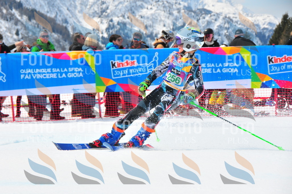 DSC_2381 | holidayphoto