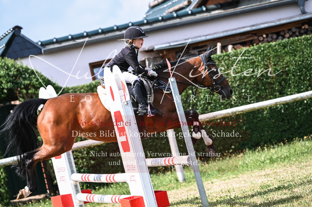 DSC_8530 | Pferde- und Turnierfotografie in Westsachsen. Pferdeportraits, Auftragszeichnungen und intuitive Kunst.