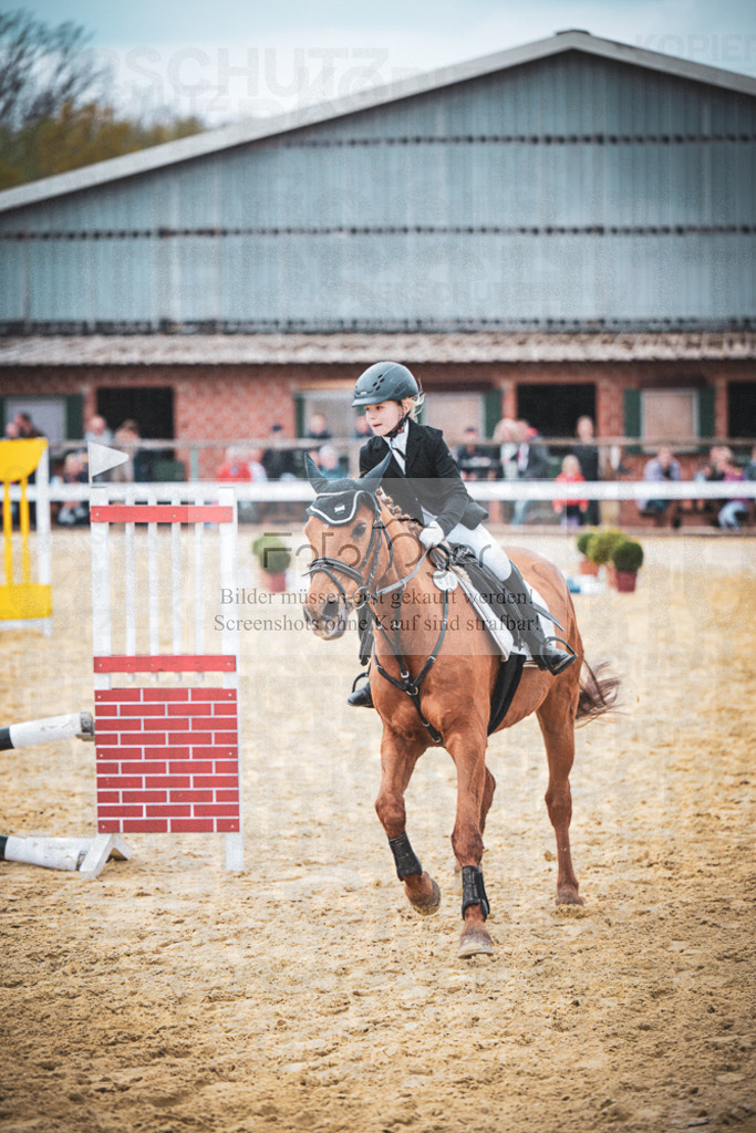 DOS_9158 | Entdecke hochwertige Reitturnierfotos von Foto Oger. Professionell, emotional und authentisch – jetzt Lieblingsmomente im Shop bestellen.Deutschlandweite Turnierfotografie. - Realisiert mit Pictrs.com