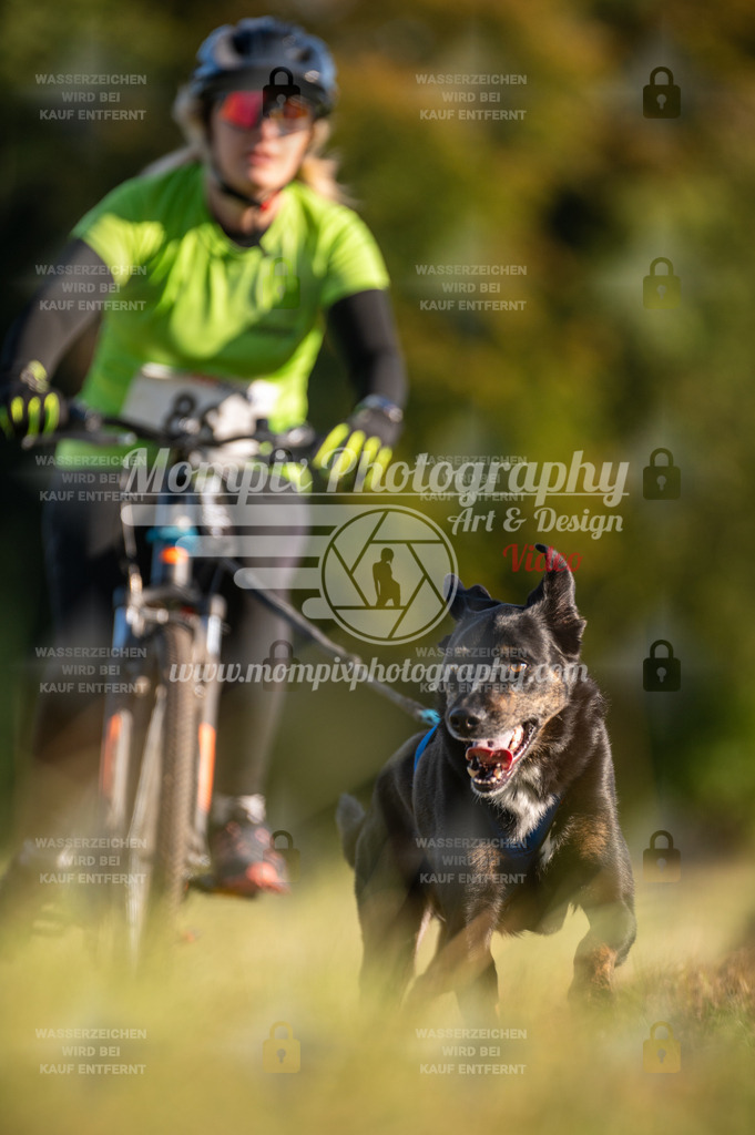 CDLBDB_15_10_2023_Dimanche-211 | PayLife