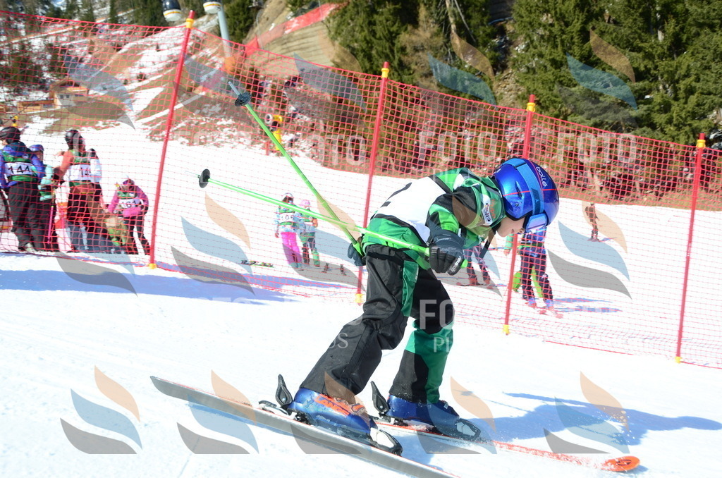 C5595 | holidayphoto