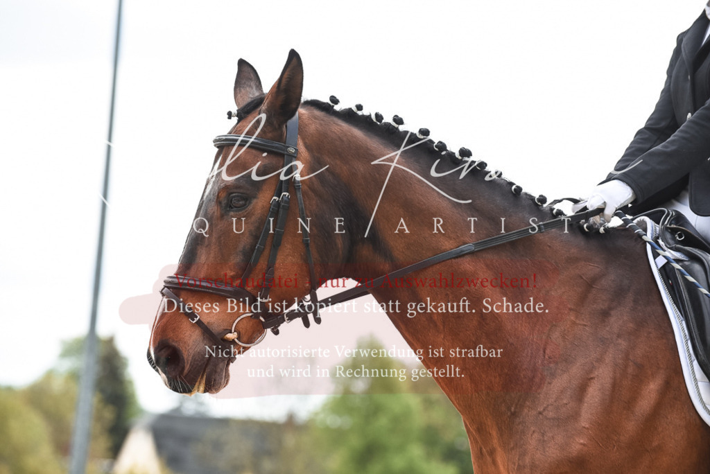 20230518_JK-Röhrsdorf-10-159 | Pferde- und Turnierfotografie in Westsachsen. Pferdeportraits, Auftragszeichnungen und intuitive Kunst.