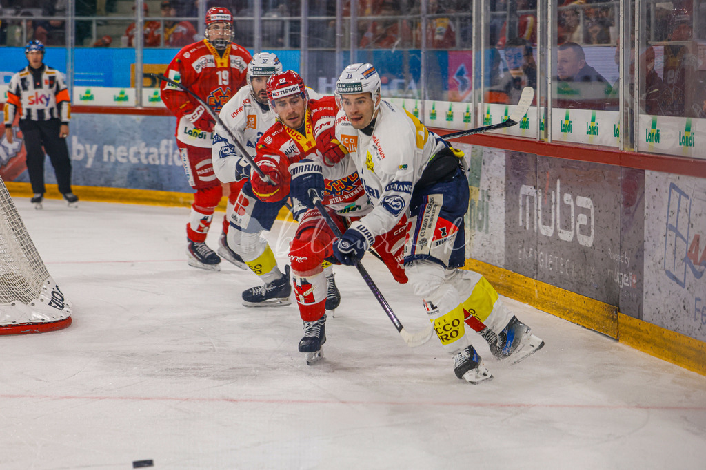 EHCB vs HCAP 20260115_wb-4272 | Sportbilder, Sportfotograf, Hochzeits- und Eventfotografin, Flugshows, Portraits und Tiershooting, Aviation, Downhill, Nationalleague, Swissleague, International