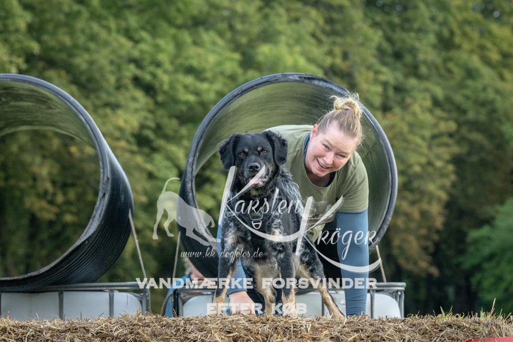 1052_ZZ93343 | kk-dogfotos