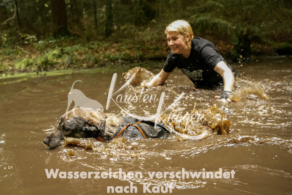 1219_ZZ93880-Bearbeitet | kk-dogfotos