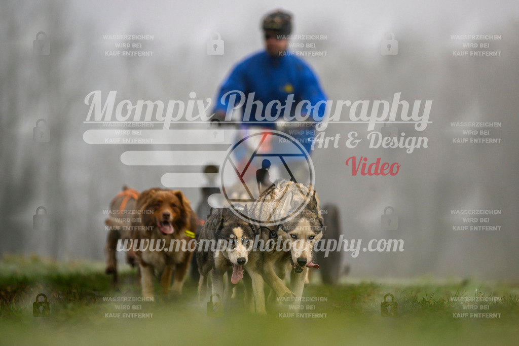 MompixPhotography_CDF2023_FFST_Di_Kart-65 | PayLife