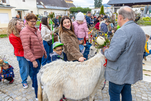 Palmweihe in Feldkirchen | Bildershop von pixelworld.at - Realisiert mit Pictrs.com