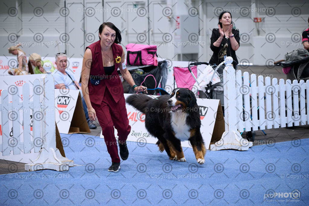 202406_ÖKV-IHA-Tulln24_NZ9_8820 | proPHOTO - Realisiert mit Pictrs.com